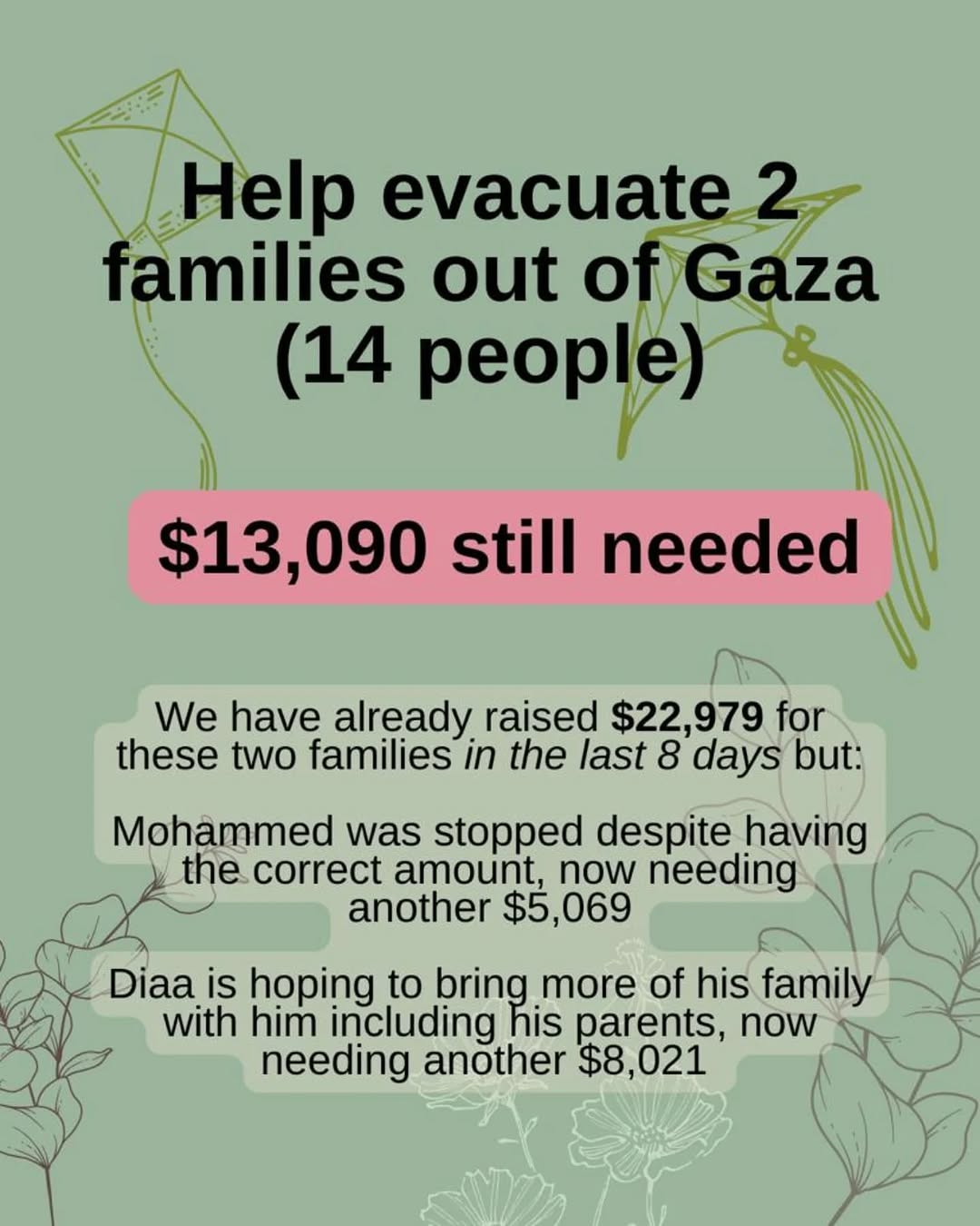 Help Evacuate 2 Families From Gaza