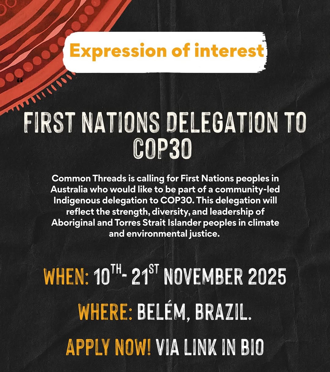 First Nations Delegation to COP30
